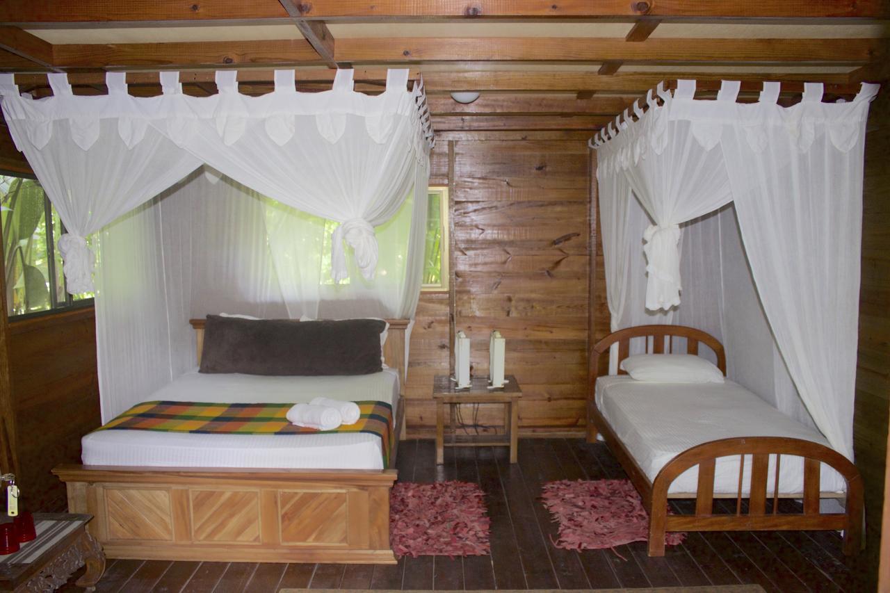 Red Frog Bungalows Surf Resort Bastimentos Zewnętrze zdjęcie