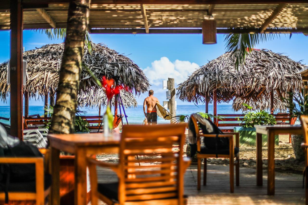 Red Frog Bungalows Surf Resort Bastimentos Zewnętrze zdjęcie